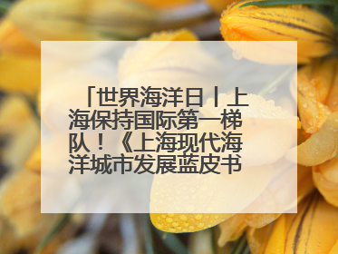 世界海洋日丨上海保持国际第一梯队！《上海现代海洋城市发展蓝皮书2024评估报告》发布
