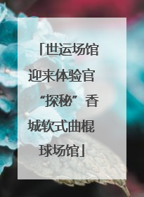 世运场馆迎来体验官“探秘”香城软式曲棍球场馆