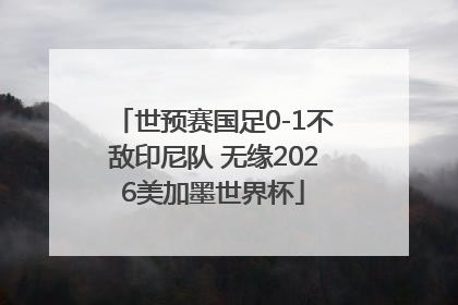 世预赛国足0-1不敌印尼队 无缘2026美加墨世界杯