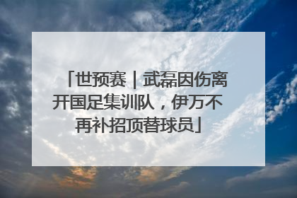 世预赛｜武磊因伤离开国足集训队，伊万不再补招顶替球员