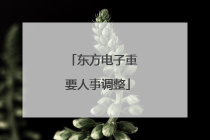 东方电子重要人事调整