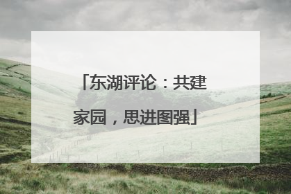 东湖评论：共建家园，思进图强