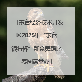东营经济技术开发区2025年“东营银行杯”群众舞蹈比赛圆满举办