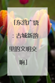 东营广饶：古城新韵里的文明交响