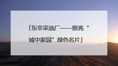东辛采油厂——擦亮“城中家园”绿色名片