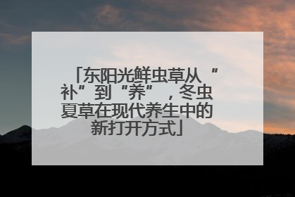 东阳光鲜虫草从“补”到“养”，冬虫夏草在现代养生中的新打开方式