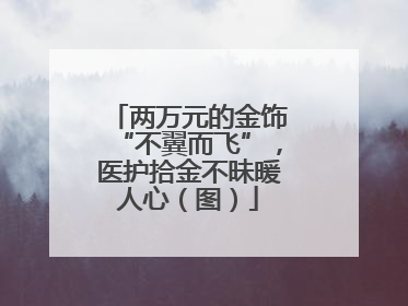 两万元的金饰“不翼而飞”，医护拾金不昧暖人心（图）