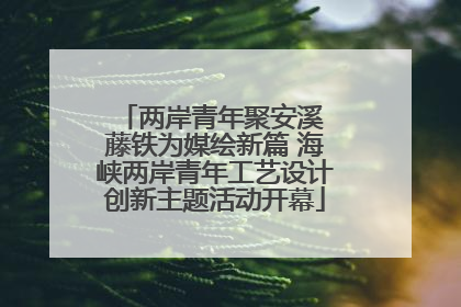 两岸青年聚安溪 藤铁为媒绘新篇 海峡两岸青年工艺设计创新主题活动开幕