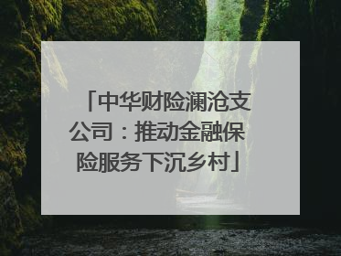 中华财险澜沧支公司：推动金融保险服务下沉乡村