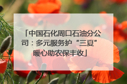 中国石化周口石油分公司：多元服务护“三夏” 暖心助农保丰收