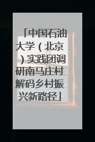 中国石油大学（北京）实践团调研南马庄村解码乡村振兴新路径
