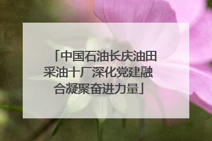 中国石油长庆油田采油十厂深化党建融合凝聚奋进力量