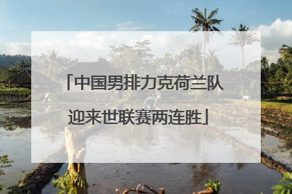 中国男排力克荷兰队 迎来世联赛两连胜