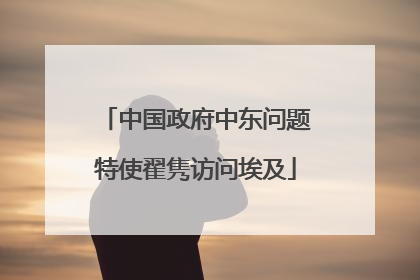 中国政府中东问题特使翟隽访问埃及