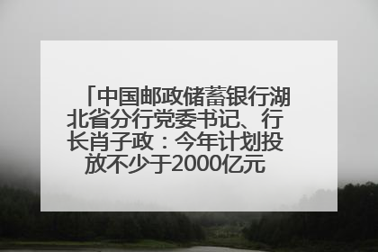 中国邮政储蓄银行湖北省分行党委书记、行长肖子政：今年计划投放不少于2000亿元支持支点建设