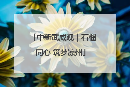 中新武威观｜石榴同心 筑梦凉州