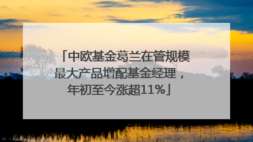中欧基金葛兰在管规模最大产品增配基金经理，年初至今涨超11%