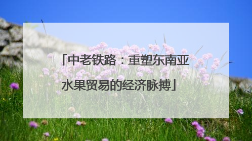 中老铁路:重塑东南亚水果贸易的经济脉搏