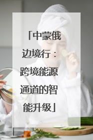 中蒙俄边境行：跨境能源通道的智能升级