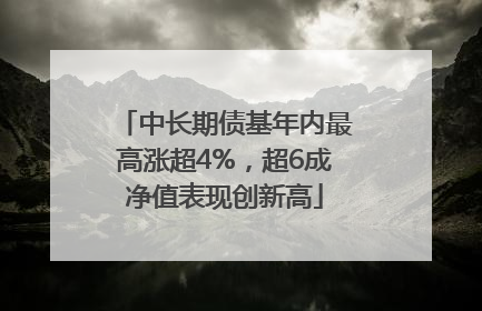 中长期债基年内最高涨超4%，超6成净值表现创新高