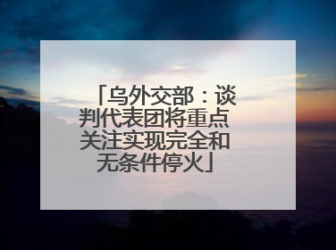 乌外交部：谈判代表团将重点关注实现完全和无条件停火