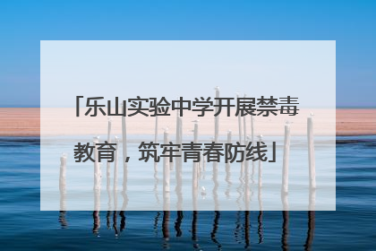 乐山实验中学开展禁毒教育，筑牢青春防线