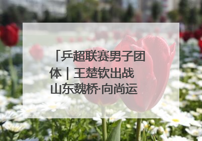 乒超联赛男子团体｜王楚钦出战 山东魏桥·向尚运动胜四川丰谷