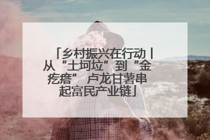 乡村振兴在行动丨从“土坷垃”到“金疙瘩” 卢龙甘薯串起富民产业链