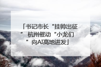 书记市长“挂帅出征” 杭州催动“小龙们”向AI高地进发