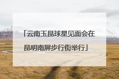 云南玉昆球星见面会在昆明南屏步行街举行