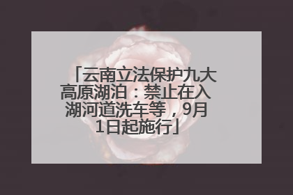 云南立法保护九大高原湖泊：禁止在入湖河道洗车等，9月1日起施行
