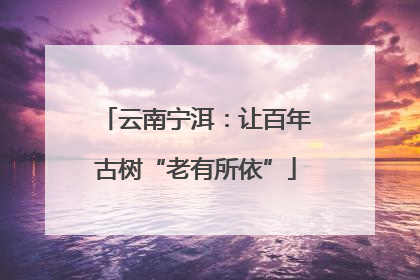 云南宁洱：让百年古树“老有所依”
