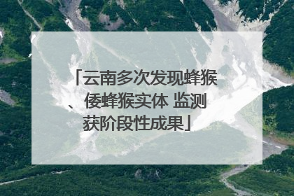 云南多次发现蜂猴、倭蜂猴实体 监测获阶段性成果