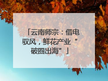 云南师宗：借电驭风，鲜花产业“破圈出海”