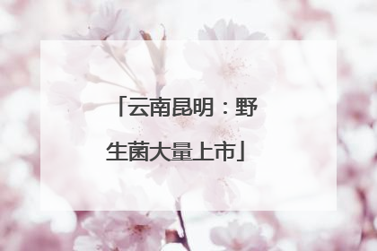 云南昆明：野生菌大量上市