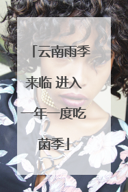 云南雨季来临 进入一年一度吃菌季