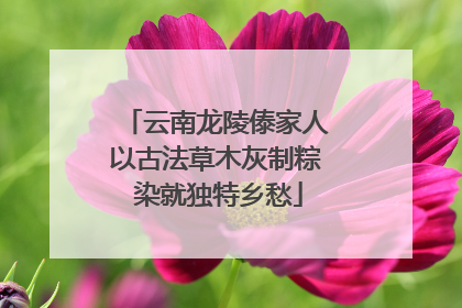 云南龙陵傣家人以古法草木灰制粽 染就独特乡愁