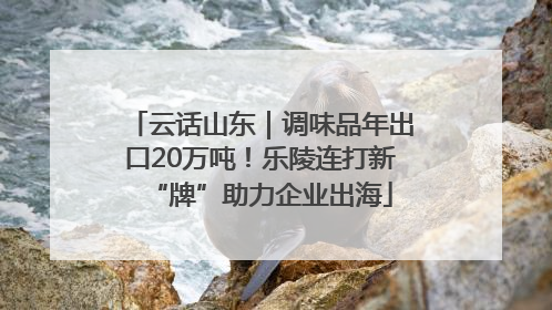 云话山东｜调味品年出口20万吨！乐陵连打新“牌”助力企业出海