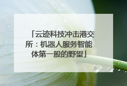 云迹科技冲击港交所：机器人服务智能体第一股的野望