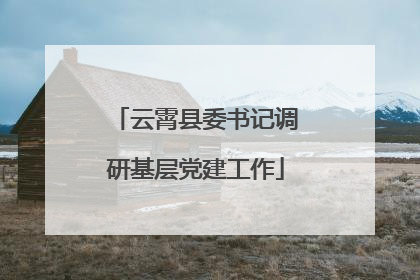 云霄县委书记调研基层党建工作