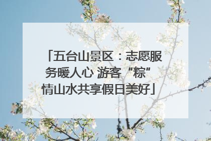 五台山景区：志愿服务暖人心 游客“粽”情山水共享假日美好