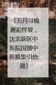 五月寻槐邂逅怪坡，沈北新区中医院国潮中医雅集引热潮