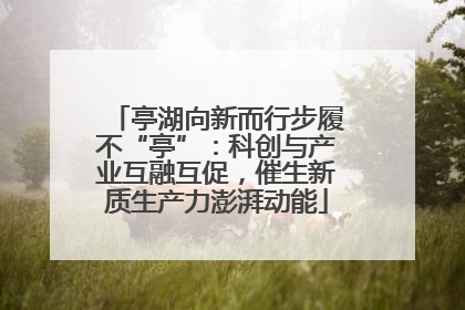 亭湖向新而行步履不“亭”：科创与产业互融互促，催生新质生产力澎湃动能