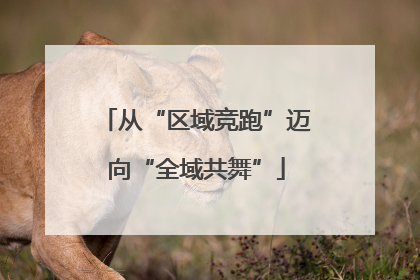 从“区域竞跑”迈向“全域共舞”