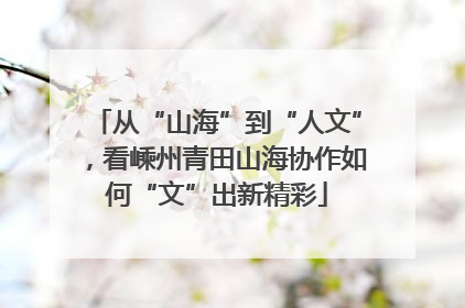 从“山海”到“人文”，看嵊州青田山海协作如何“文”出新精彩