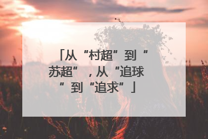从“村超”到“苏超”，从“追球”到“追求”