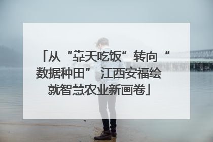 从“靠天吃饭”转向“数据种田” 江西安福绘就智慧农业新画卷