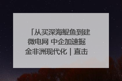 从买深海鳀鱼到建微电网 中企加速掘金非洲现代化｜直击中非经贸博览会