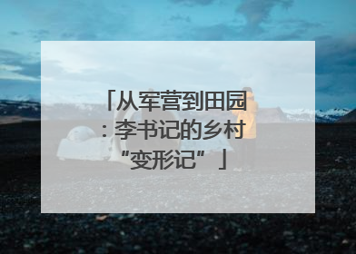 从军营到田园：李书记的乡村 “变形记”