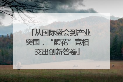 从国际盛会到产业突围，“醴花”竞相交出创新答卷